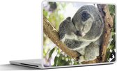 Laptop sticker - 17.3 inch - Koala's - Knuffel - Dieren - Kinderen - Jongens - Meisjes