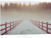 WallClassics - PVC Schuimplaat- Rode Brug met Sneeuw en Mist bij Bos - 105x70 cm Foto op PVC Schuimplaat