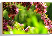 WallClassics - Hout - Roze Bladeren aan Tak - 60x40 cm - 12 mm dik - Foto op Hout (Met Ophangsysteem)