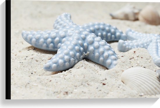 WallClassics - Canvas  - Blauwe Zeesterren op het Strand - 60x40 cm Foto op Canvas Schilderij (Wanddecoratie op Canvas)