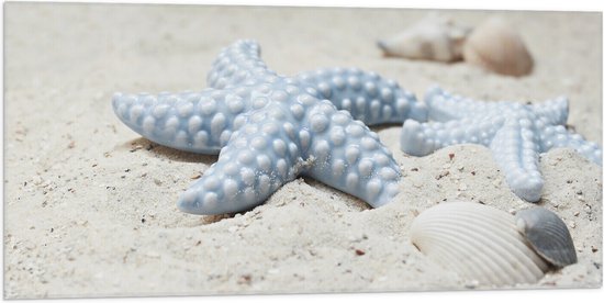 WallClassics - Vlag - Blauwe Zeesterren op het Strand - 100x50 cm Foto op Polyester Vlag