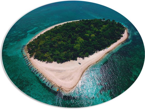 WallClassics - Plaque de Mousse PVC Ovale - Forêt sur une Île dans la Mer - 96x72 cm Photo sur Ovale (Avec Système d'accrochage)