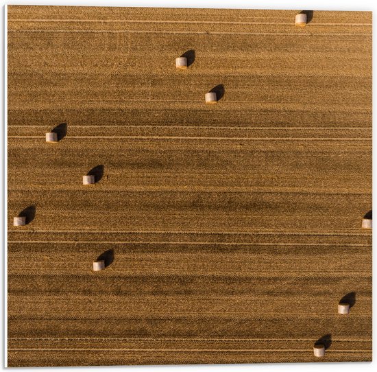 WallClassics - PVC Schuimplaat - Bovenaanzicht van Hooibalen op Landbouwgrond - 50x50 cm Foto op PVC Schuimplaat (Met Ophangsysteem)