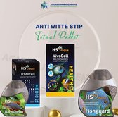 Anti Witte Stip Totaal Pakket voor aquariumvissen