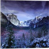 WallClassics - Acrylglas - Besneeuwde Bergen met Bomen en Rotsen - 50x50 cm Foto op Acrylglas (Met Ophangsysteem)