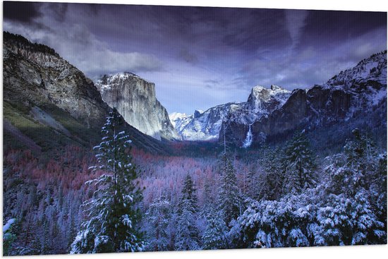 WallClassics - Vlag - Besneeuwde Bergen met Bomen en Rotsen - 120x80 cm Foto op Polyester Vlag