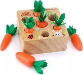 Jeu de carottes en bois Montessori | 15*15*4.5cm | Mémoire | Cognitif