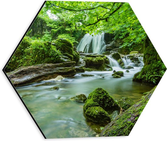 WallClassics - Dibond Hexagon - Groen Natuur Gebied met Waterval - 30x26.1 cm Foto op Hexagon (Met Ophangsysteem)