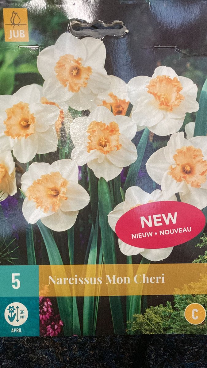 Narcissus Mon Cheri