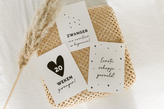 20x hippe mijlpaalkaartjes zwangerschap (A6 formaat) - milestone pregant cards - cadeau zwangerschap - kado zwangerschap - babyshower cadeau - hoera zwanger - zwangerschapsverlof - kraamcadeaus - mijlpaalkaarten zwangerschap