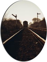 WallClassics - Dibond Ovaal - Aankomende Trein op Rails - 30x40 cm Foto op Ovaal (Met Ophangsysteem)