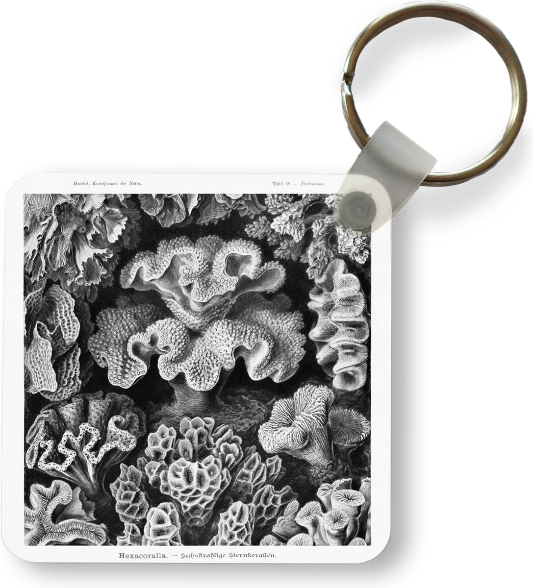 Herakles Griekse halfgod met grote kracht