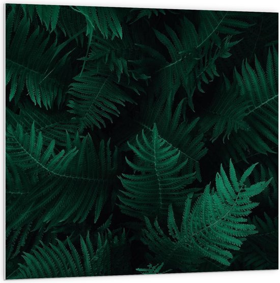 WallClassics - PVC Schuimplaat - Groep Groene Bladeren  - 100x100 cm Foto op PVC Schuimplaat (Met Ophangsysteem)