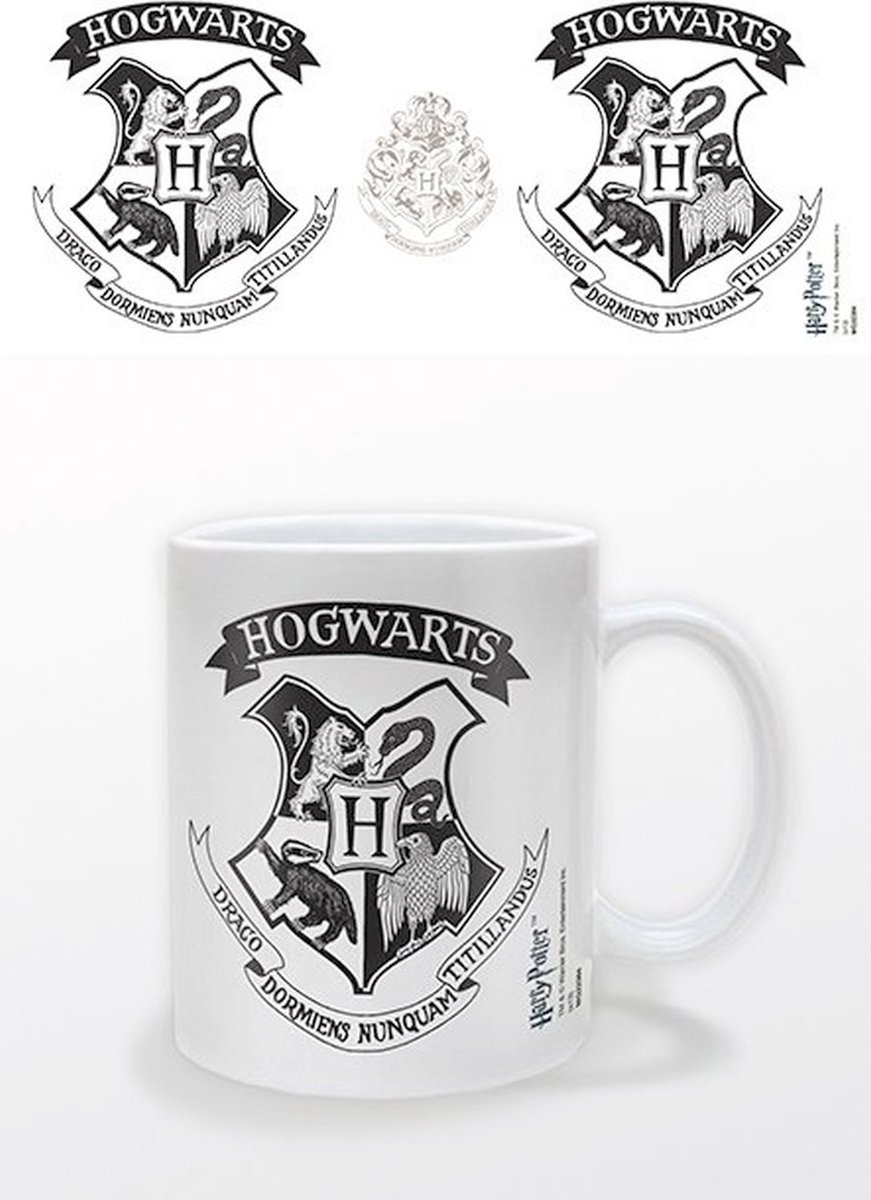 HARRY POTTER Mug Thermo-réactif Je jure solennellement