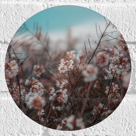 WallClassics - Muursticker Cirkel - Witte Bloementakjes bij het Strand - 20x20 cm Foto op Muursticker