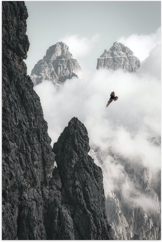 WallClassics - Poster Glanzend – Vogel Vliegend tussen Bergen (zwart/wit) - 60x90 cm Foto op Posterpapier met Glanzende Afwerking