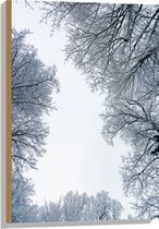 WallClassics - Hout - Onderaanzicht van Sneeuwtakken - 50x75 cm - 12 mm dik - Foto op Hout (Met Ophangsysteem)