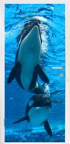 Deursticker Orka's - Twee orkas onder water - 80x205 cm - zelfklevende deurposter - bubbelvrij en herpositioneerbare deursticker