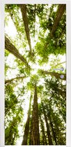 Deursticker Hoge groene bomen in jungle - 90x215 cm - Deurposter