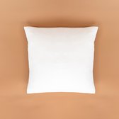 Altex Home Feather - Taie d' Kussensloop - White 70x70