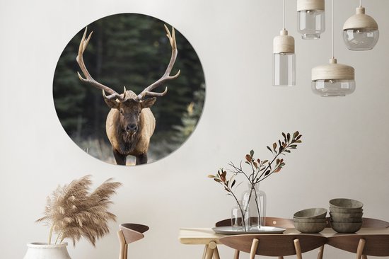 Wallpaper Circle - Cerf - Arbre - Bois - ⌀ 120 cm - Wall Circle - Auto-adhésif - Round Wallpaper Sticker XXL