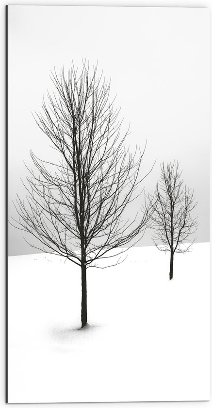 WallClassics - Dibond - Twee Kale Bomen in Sneeuwlandschap - 50x100 cm Foto op Aluminium (Wanddecoratie van metaal)