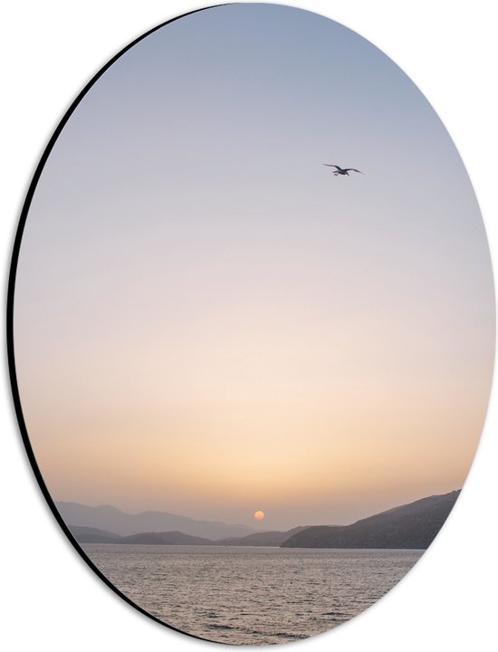 WallClassics - Dibond Ovaal - Vogel boven de Zee met Bergen bij Maan - 21x28 cm Foto op Ovaal (Met Ophangsysteem)