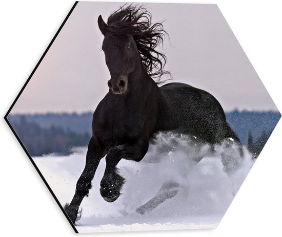 WallClassics - Dibond Hexagon - Galloperend Paard in de Sneeuw - 30x26.1 cm Foto op Hexagon (Met Ophangsysteem)