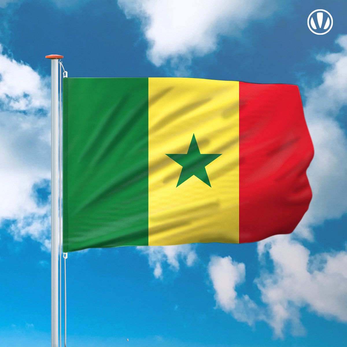 Flag for promo senegal