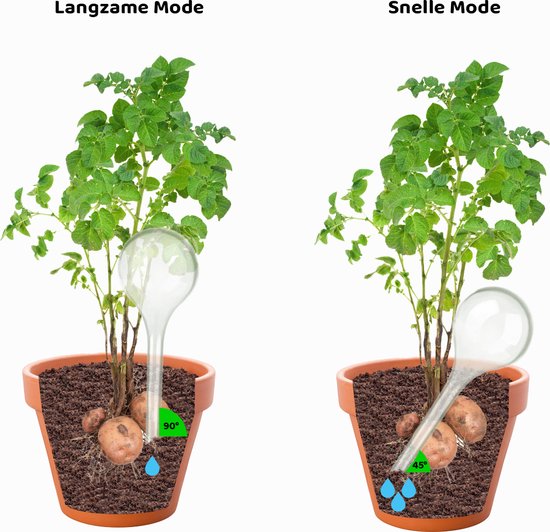 Globes Arrosage Automatique Plantes 4 Pièces | Ampoules Goutte à Goutte Pour Plantes D'Intérieur Et Extérieur