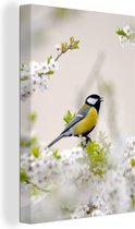 Canvas - Schilderij - Vogel - Koolmees - Bloemen - Bloesemboom - Wit - Schilderijen op canvas - Foto op canvas - 90x140 cm - Muurdecoratie - Woonkamer