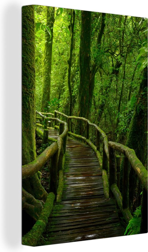 Canvas - Schilderij - Bos - Bomen - Jungle - Pad - Wanddecoratie - Canvas doek - 80x120 cm