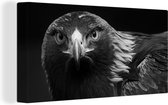 Canvas - Dieren - Buizerd - Vogel - Zwart - Wit - Foto op canvas - 160x80 cm - Schilderijen op canvas - Muurdecoratie