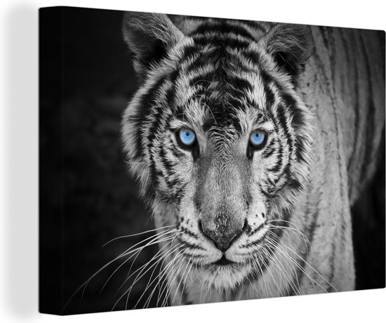 Canvas - Dieren - Tijger - Ogen - Blauw - Foto op canvas - 60x40 cm - Schilderijen op canvas - Canvasdoek