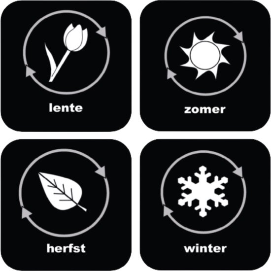 Magnetische pictogrammen | SEIZOENEN | 4 stuks | 4x4cm | Dagritme | EasyAuti
