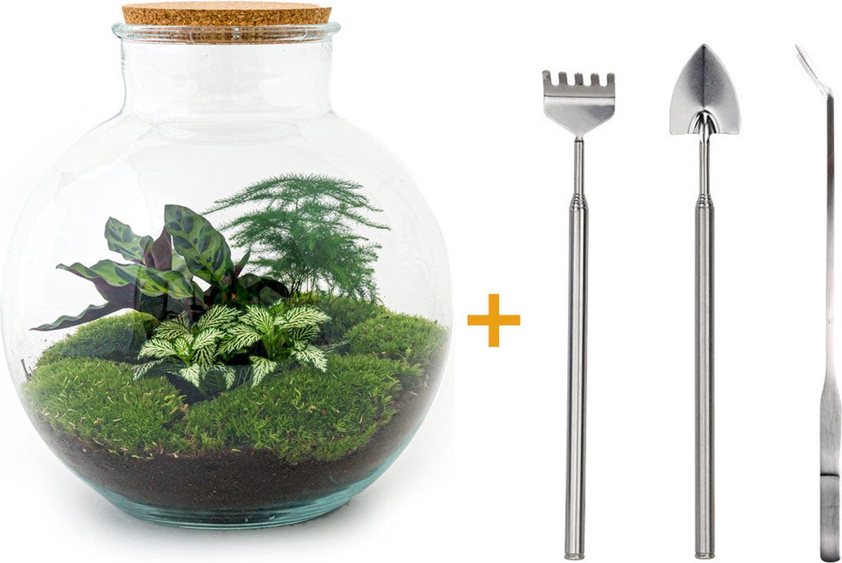 Denty Anaconda duikpak 5 mm Zwart | Diveinn Wetsuits, image size:1200x803