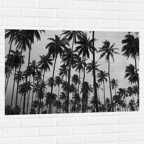 WallClassics - Muursticker - Heel Veel Palmbomen Zwart / Wit - 105x70 cm Foto op Muursticker