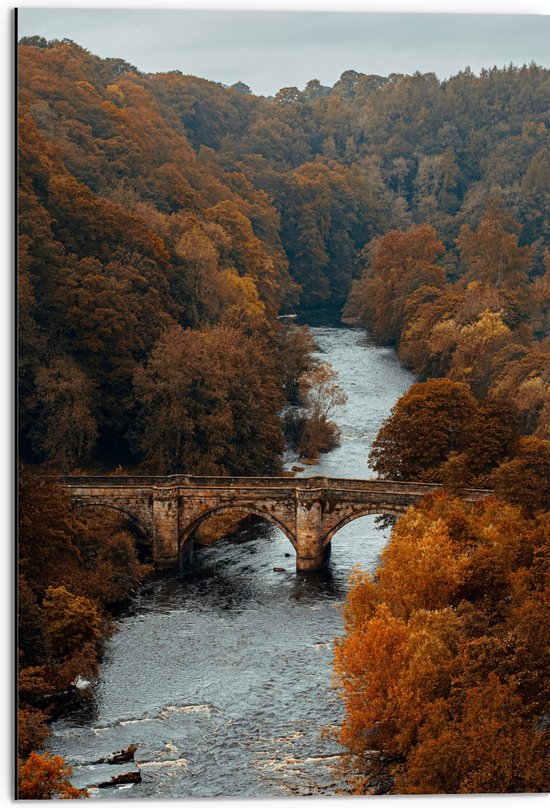 WallClassics - Dibond - Herfstige Bomen bij Brug over Rivier - 50x75 cm Foto op Aluminium (Wanddecoratie van metaal)