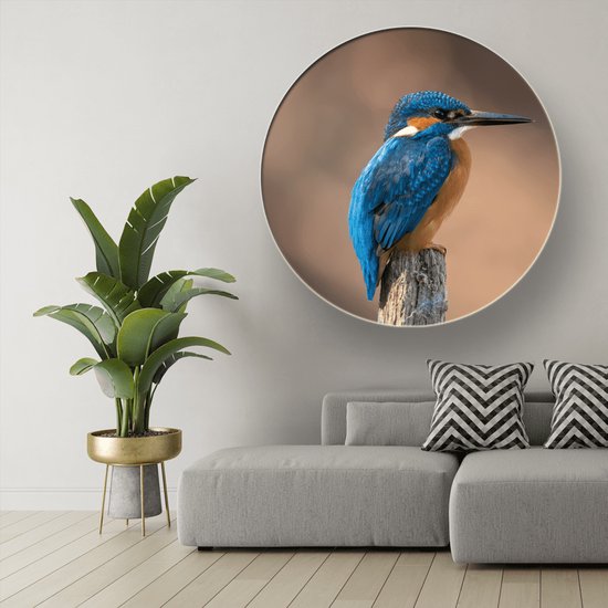 Wanddecoratie / Schilderij / Poster / Doek / Schilderstuk / Muurdecoratie / Fotokunst / Tafereel Common kingfisher (rond) gedrukt op Geborsteld aluminium