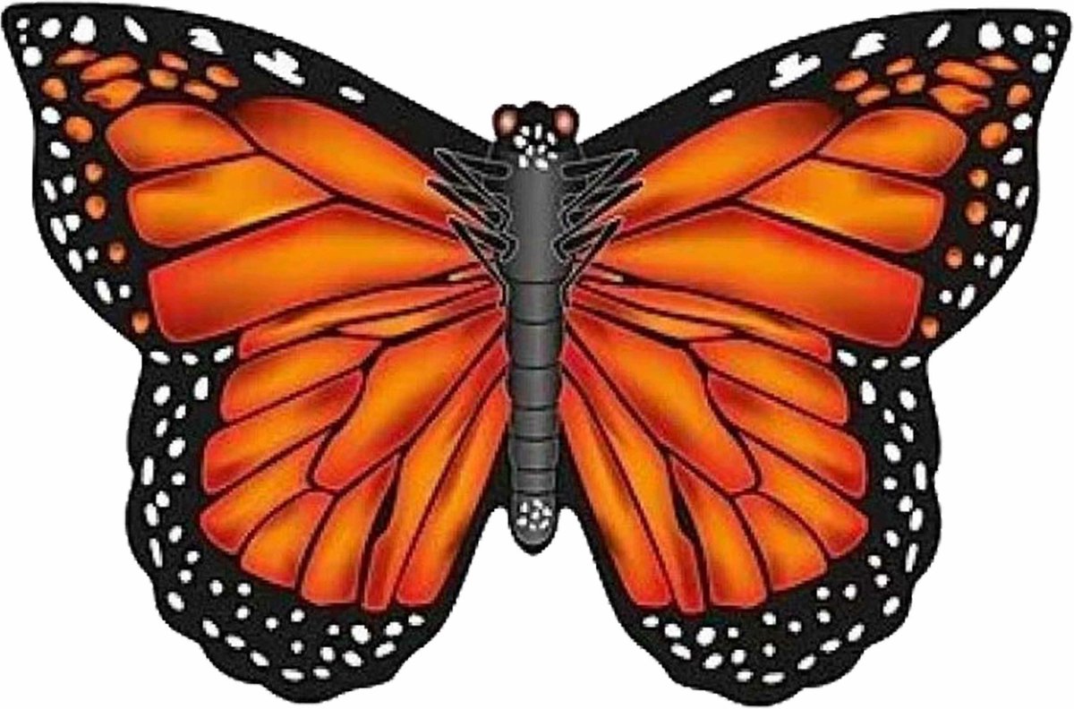 BBIZZ Vlieger vlinder - oranje - B71 cm - nylon