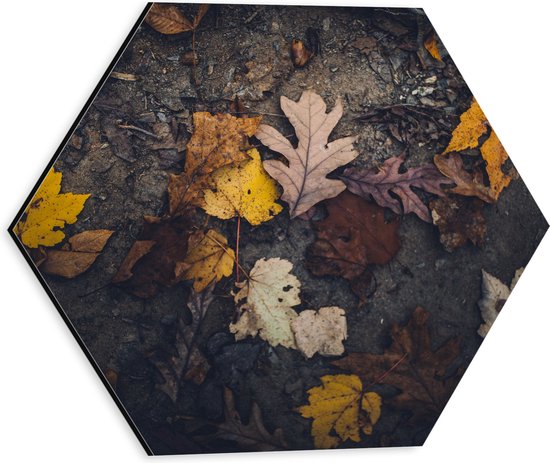 WallClassics - Dibond Hexagon - Herfstbladeren in het Zand - 30x26.1 cm Foto op Hexagon (Met Ophangsysteem)