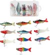 Dix leurres de pêche colorés dans une boîte de rangement transparente et séparément, avec le logo Brute Strength.
