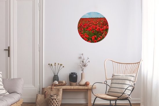 WallCircle - Wall Circle - Wall Circle - Une prairie pleine de coquelicots - Aluminium - Dibond - 30x30 cm - Intérieur et Extérieur
