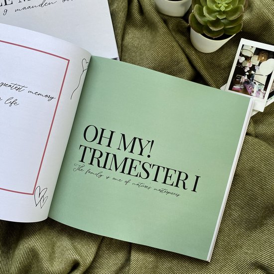 OHMY! – Zwangerschapsdagboek – 2 Mama’s – lesbisch stel - Invulboek – LGBTQ+ – Zwangerschapsherinneringen