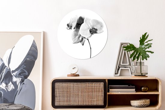 WallCircle - Wandcirkel ⌀ 60 - Orchideebloem tegen een witte achterrond - zwart wit - Ronde schilderijen woonkamer - Wandbord rond - Muurdecoratie cirkel - Kamer decoratie binnen - Wanddecoratie muurcirkel - Woonaccessoires
