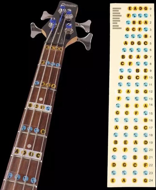 Lintage Guitars - Basgitaar fretboard stickers - Basgitaar noten sticker - Gekleurde fret stickers voor het leren spelen van Bas