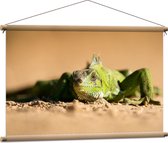 WallClassics - Affiche Textile - Iguane Vert dans le Sable - 90x60 cm Photo sur Textile