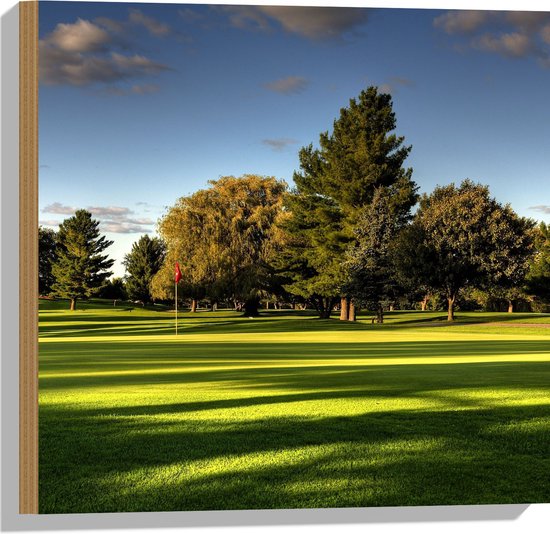 WallClassics - Hout - Golfbaan met Bomen - 50x50 cm - 12 mm dik - Foto op Hout (Met Ophangsysteem)