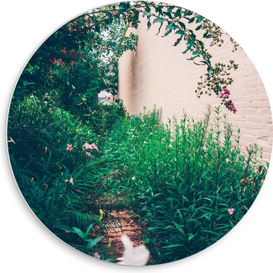 WallClassics - Cercle mural en mousse PVC - Fleurs roses suspendues - Photo 50 x 50 cm sur cercle mural (avec système de suspension)