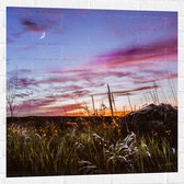WallClassics - Muursticker - Roze Wolken in de Lucht - 80x80 cm Foto op Muursticker